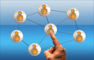 开云官方网页登录-世界足球推广：南南合作助力新兴市场崛起，南亚足球强国