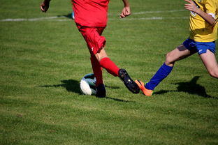 kaiyun官方入口登录-国家女篮训练日程公开每日训练内容紧张高效，国家队女篮在哪里训练